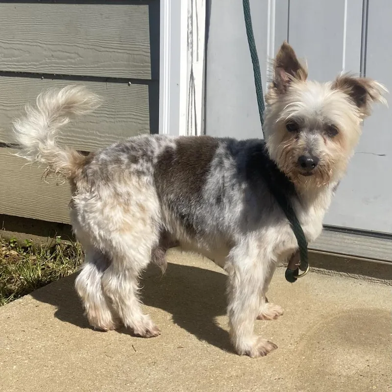 Sam Avail By Appt thumbnail 3