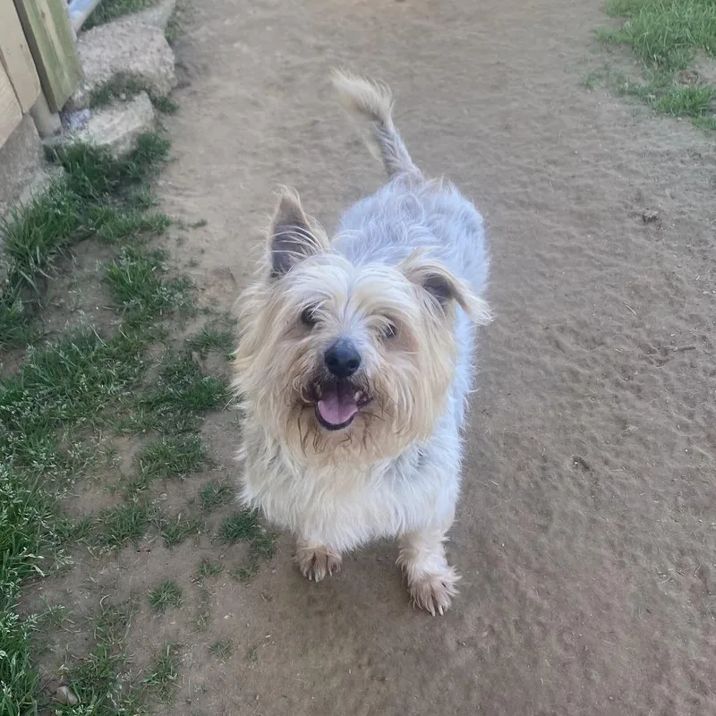 Sam Avail By Appt thumbnail 4