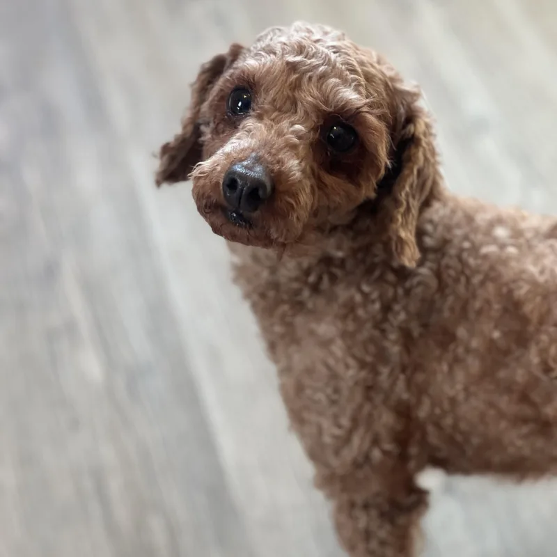 Sedona