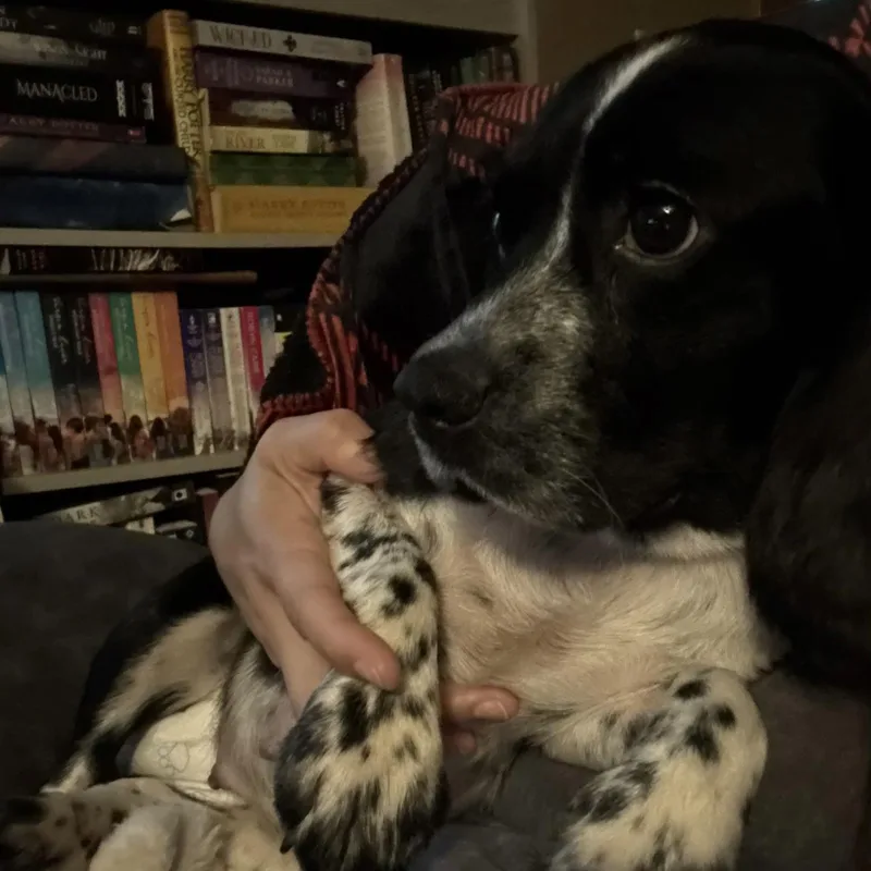 Millie thumbnail 3