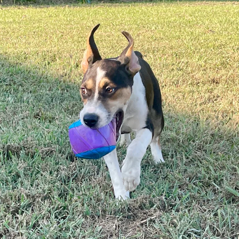 Blizzard thumbnail 2