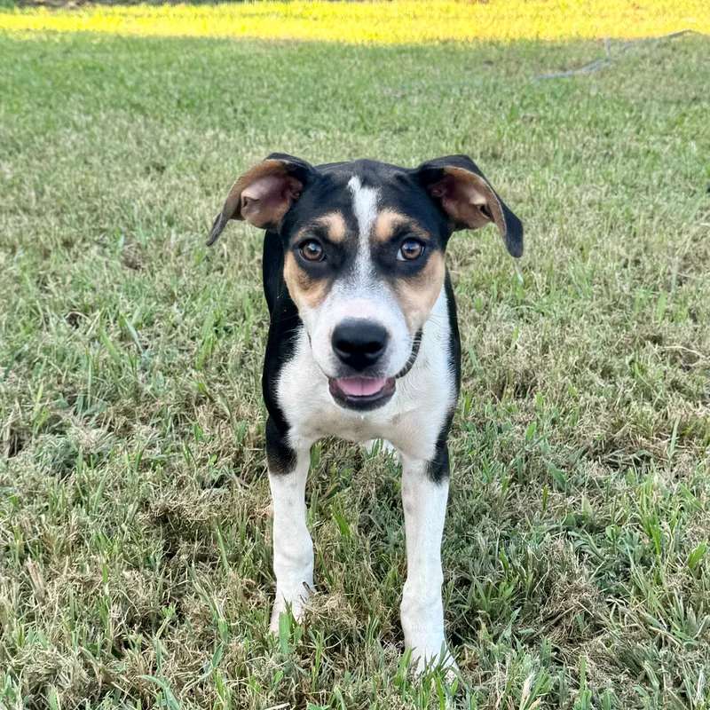 Blizzard thumbnail 4