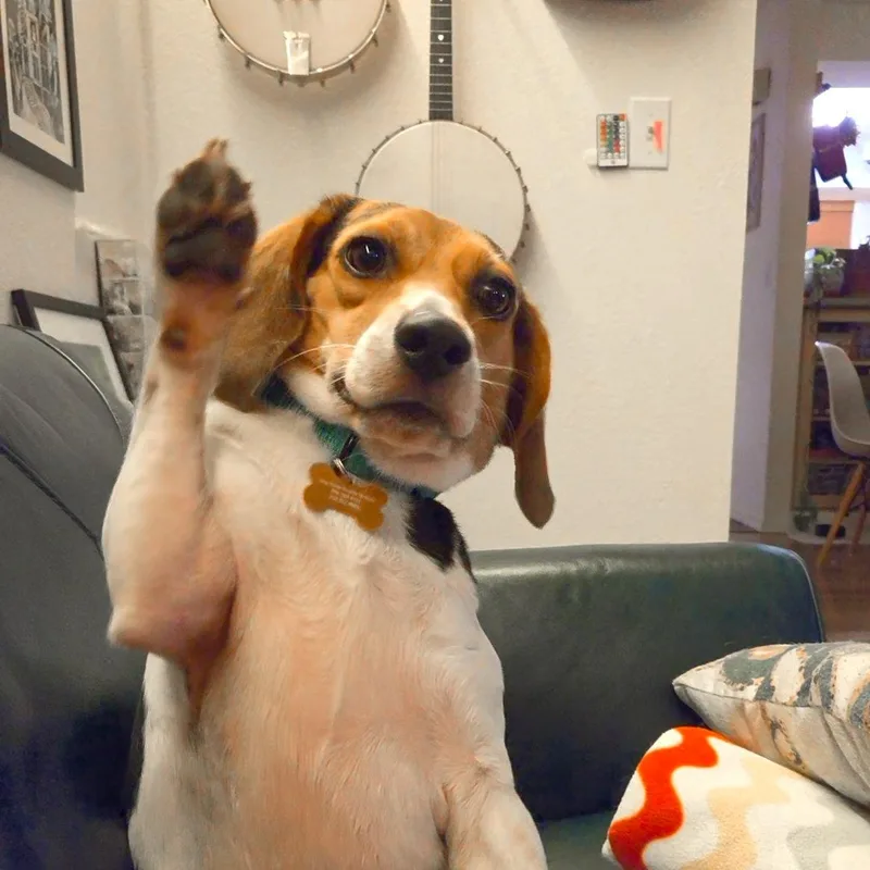 Sophie thumbnail 2