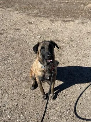 Maggie