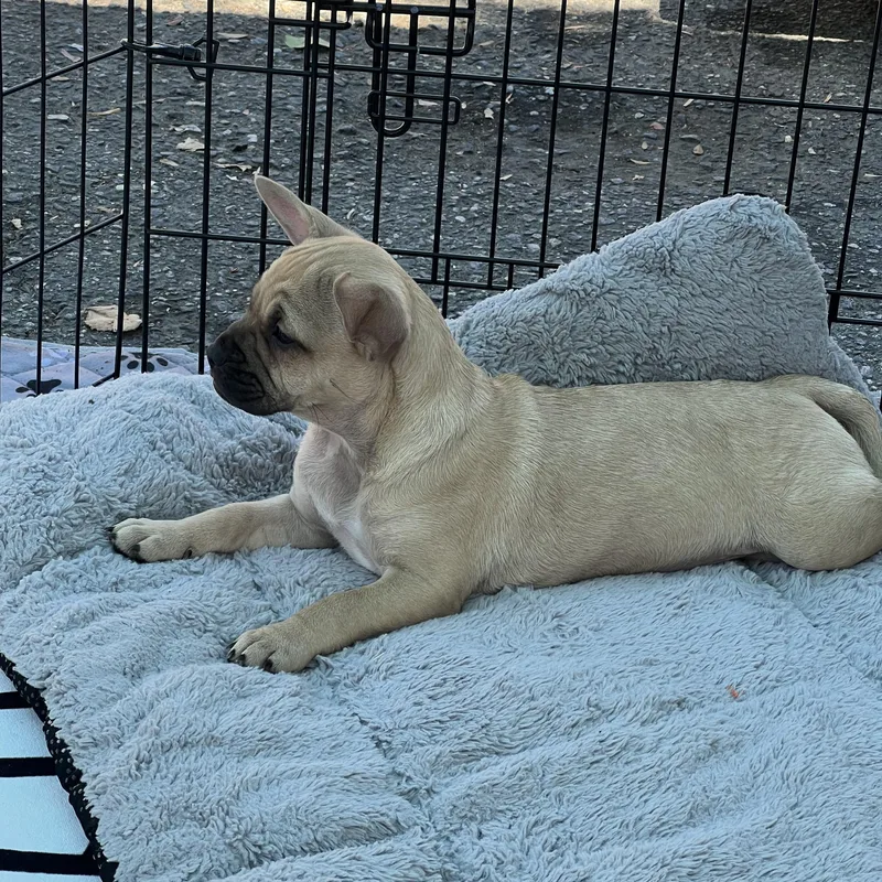 SteveO thumbnail 5