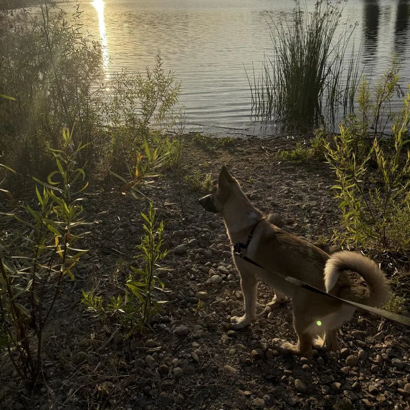 Blackjack thumbnail 5