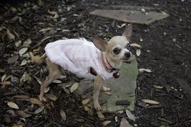 Thelma