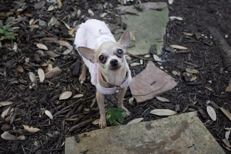 Thelma thumbnail 4
