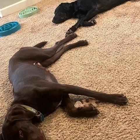 Franklin thumbnail 5