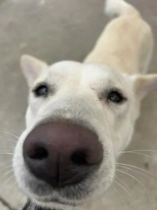 Holly thumbnail 3