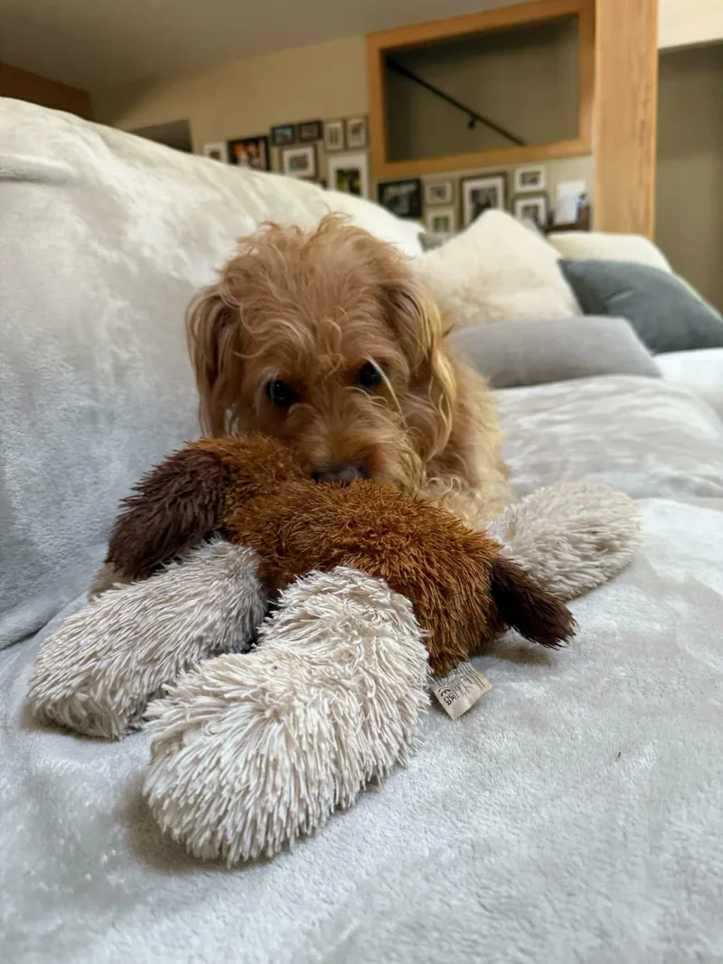 Winnie M