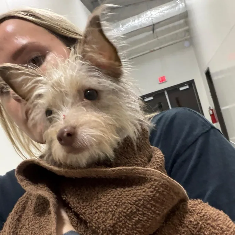 Winnie thumbnail 3