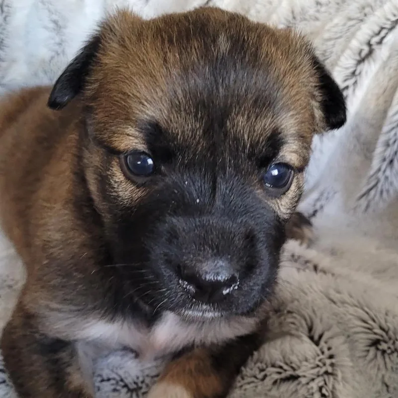 Winnie thumbnail 5