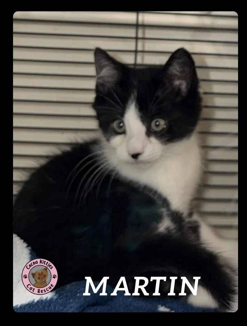 Martin