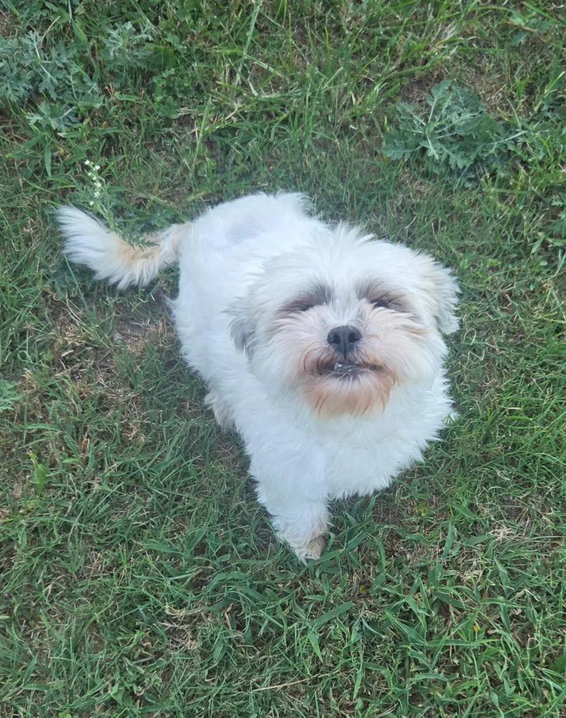 Sophie