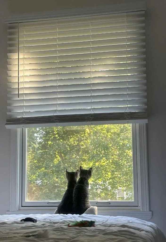 Ruby & Rizzo thumbnail 2