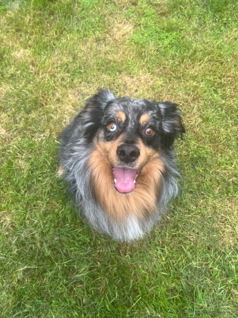 Zuko