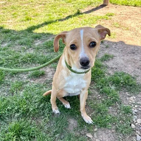 Gertrude Mcfuzz thumbnail 2