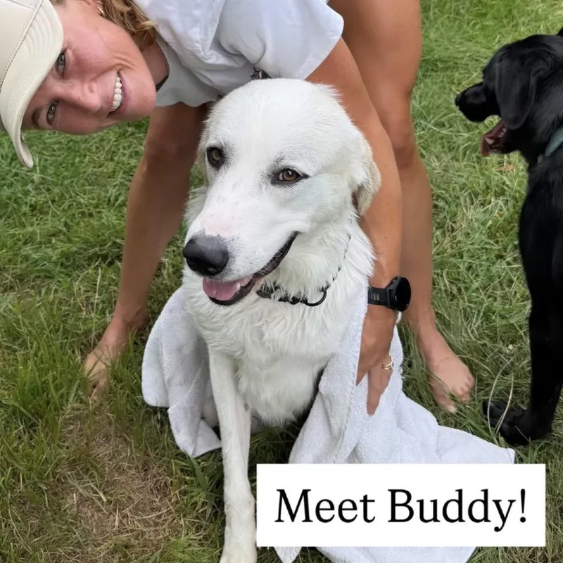 Buddy thumbnail 2