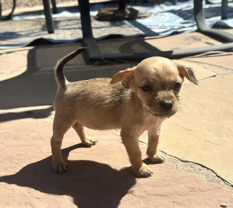 Baby Spice thumbnail 2