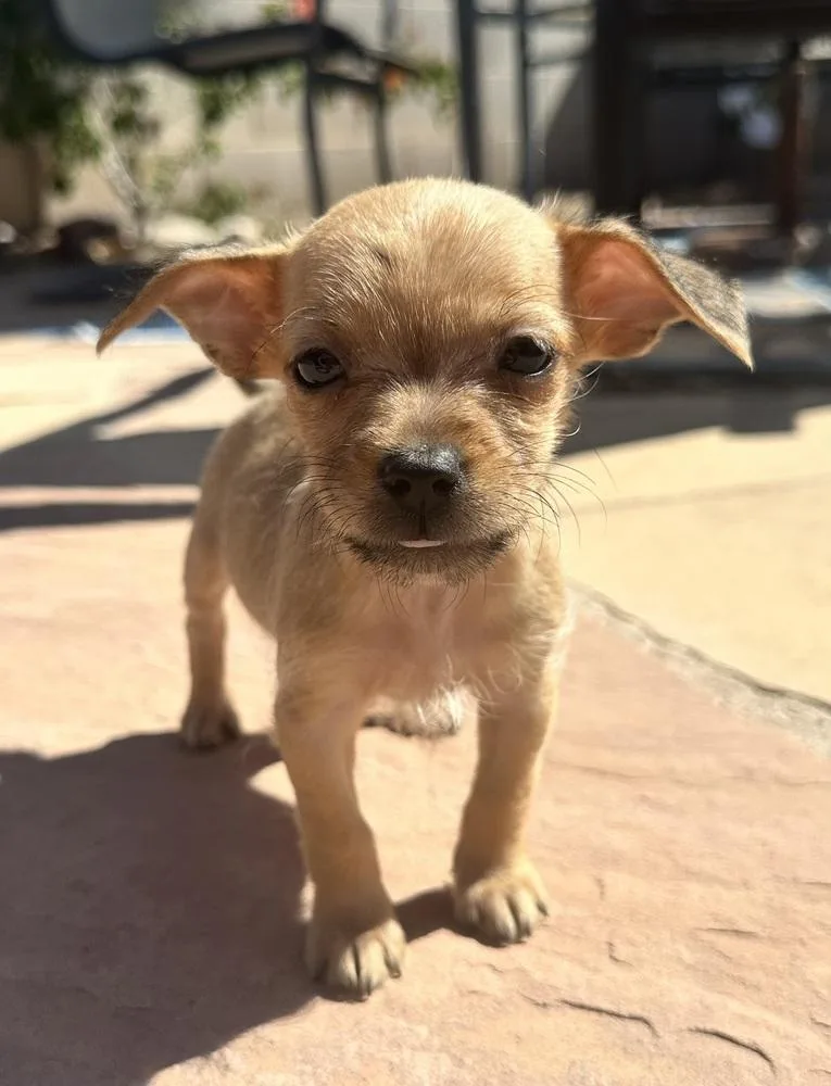 Baby Spice thumbnail 3