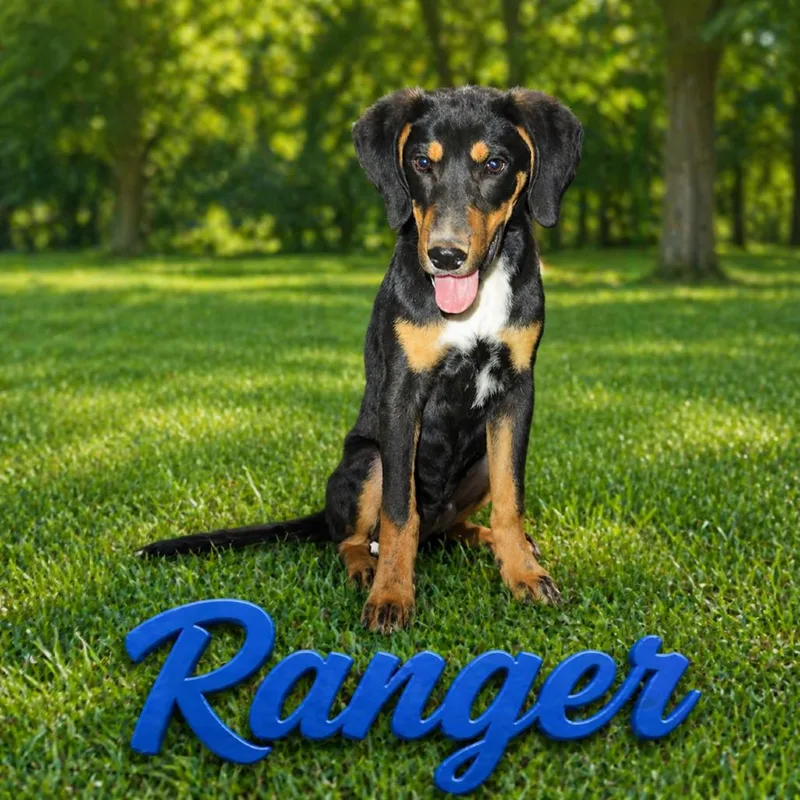 Ranger