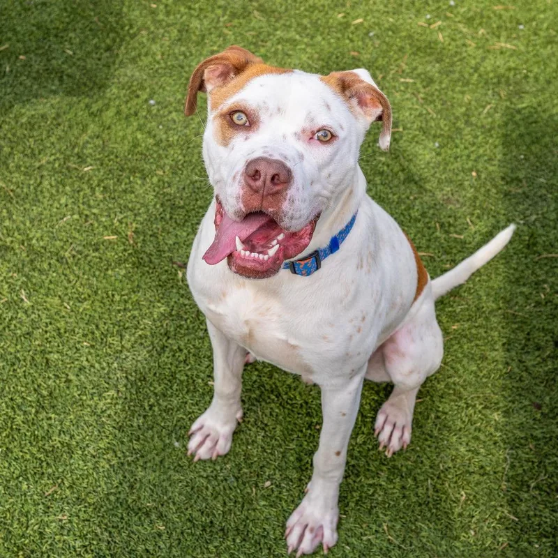 Winchester thumbnail 4