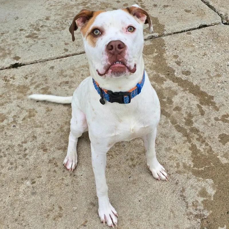 Winchester thumbnail 5