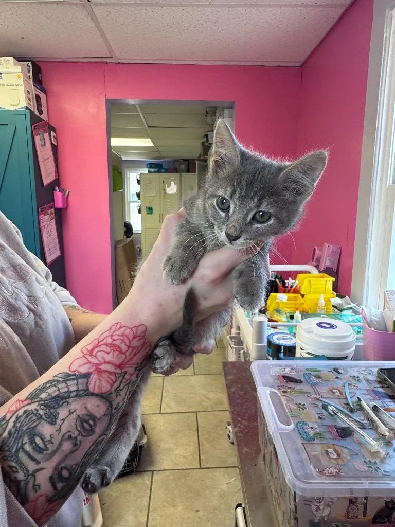 Snuggles thumbnail 2