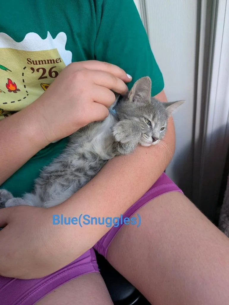 Snuggles thumbnail 3
