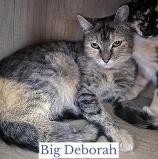 Big Deborah