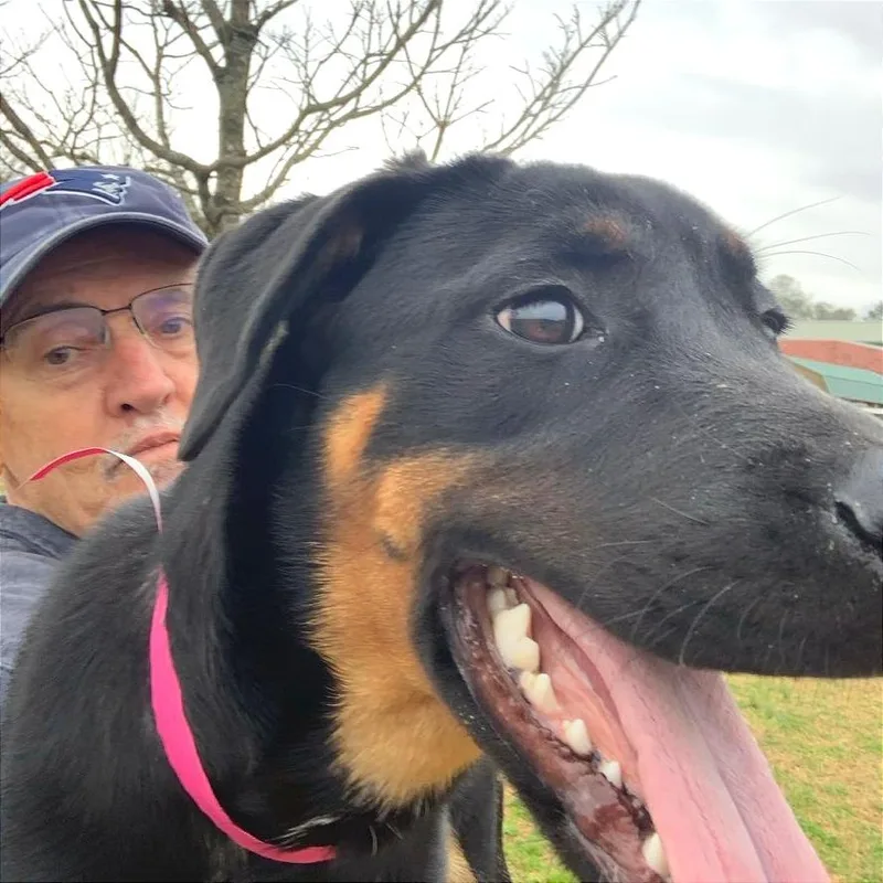 Harley Quinn thumbnail 4