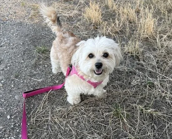 Brenda From Compliance thumbnail 2