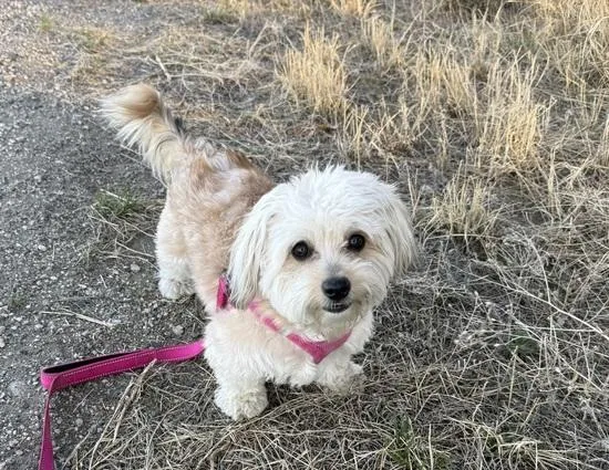 Brenda From Compliance