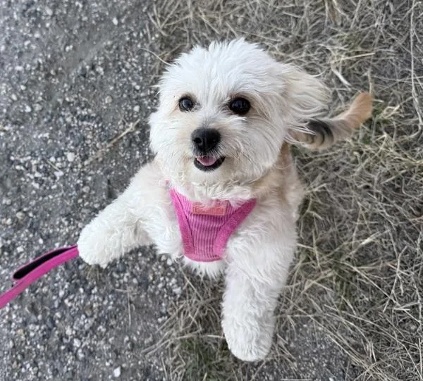 Brenda From Compliance thumbnail 3