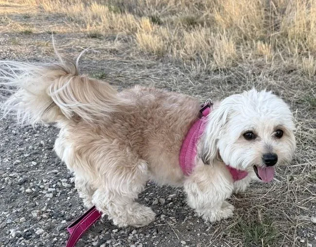 Brenda From Compliance thumbnail 4