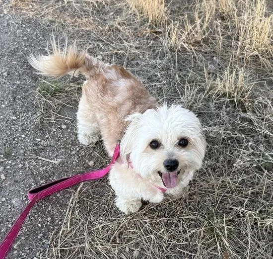 Brenda From Compliance thumbnail 5