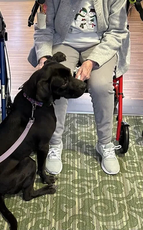 Baby Bear thumbnail 2