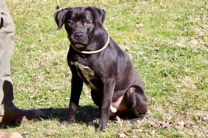 Baby Bear thumbnail 6