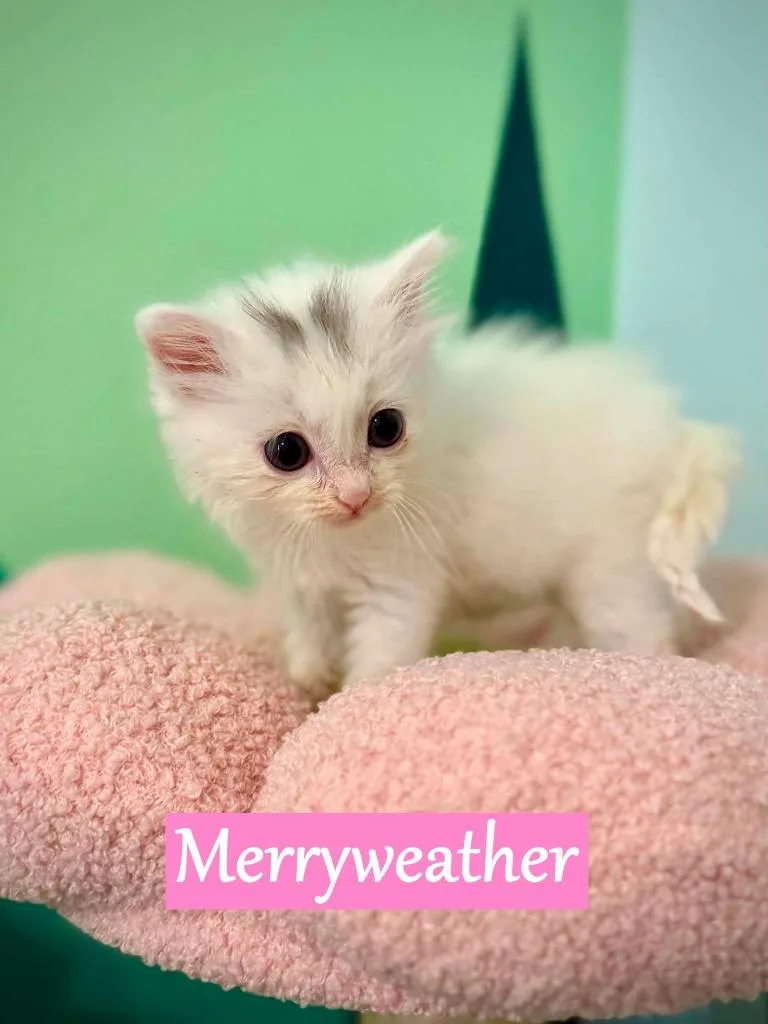 Merryweather