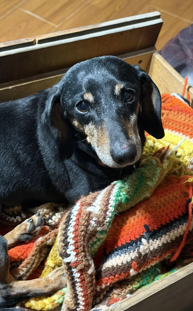 Tucker