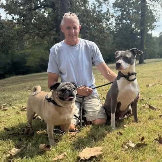 An adult medium-sized male Pug dog named Sage & Willow for adoption in Luttrell, TN