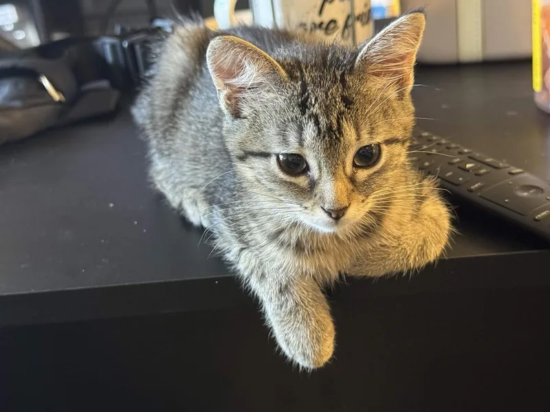 Juanita