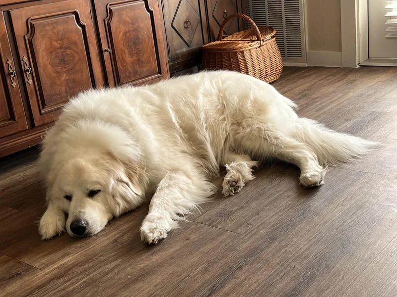 Argos Atx thumbnail 3