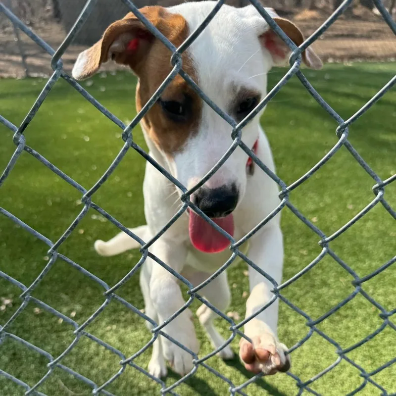 Gertrude thumbnail 6