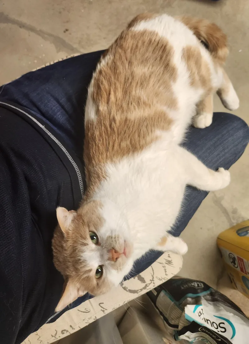 Pillsbury thumbnail 2