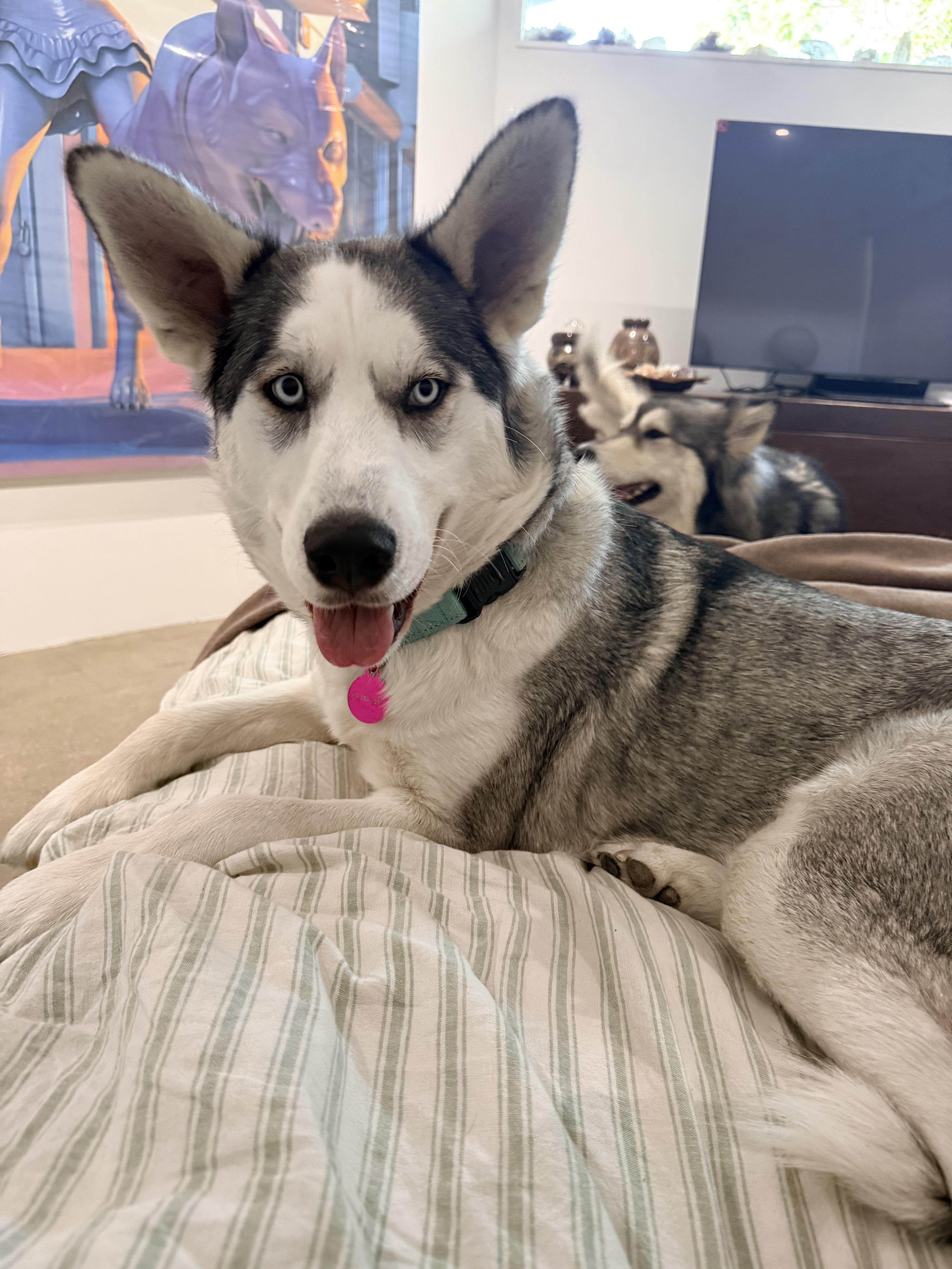Heidi thumbnail 3