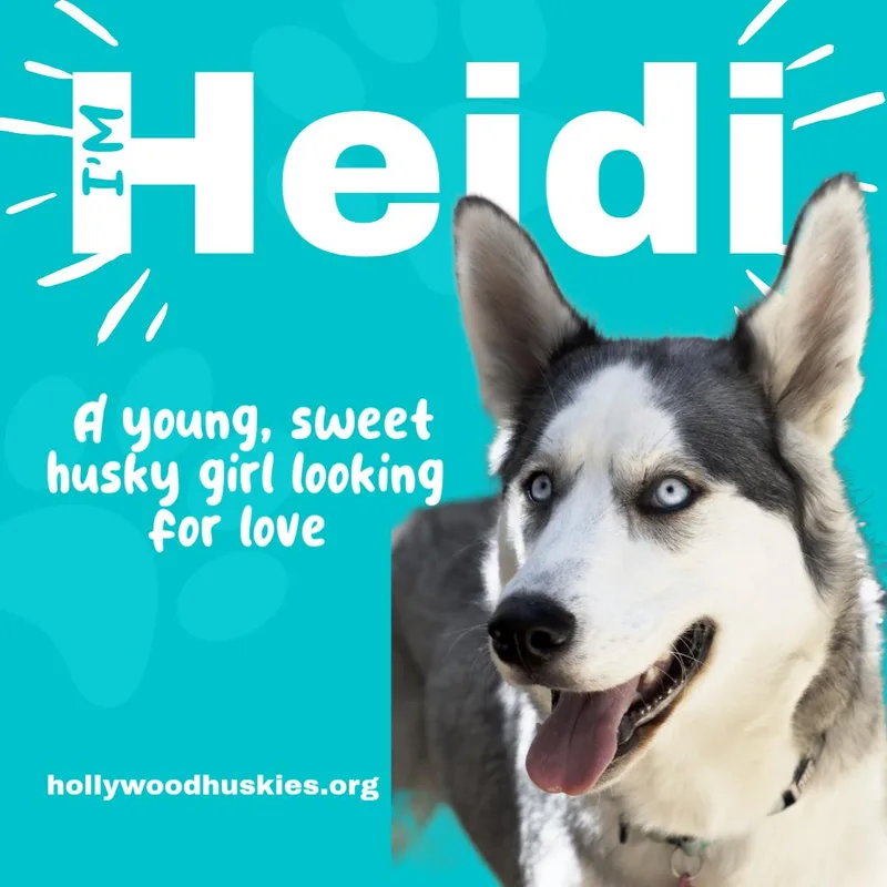 Heidi thumbnail 4