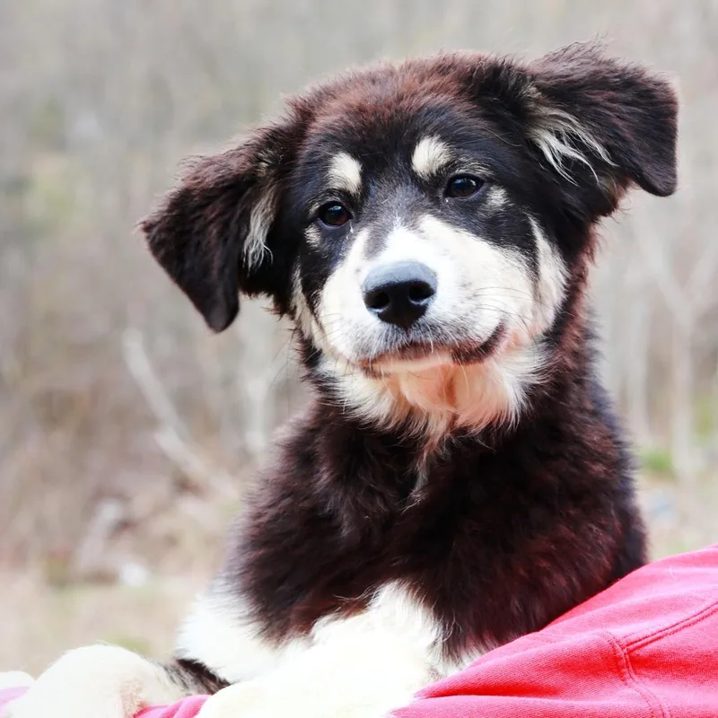 Ct Darla thumbnail 5