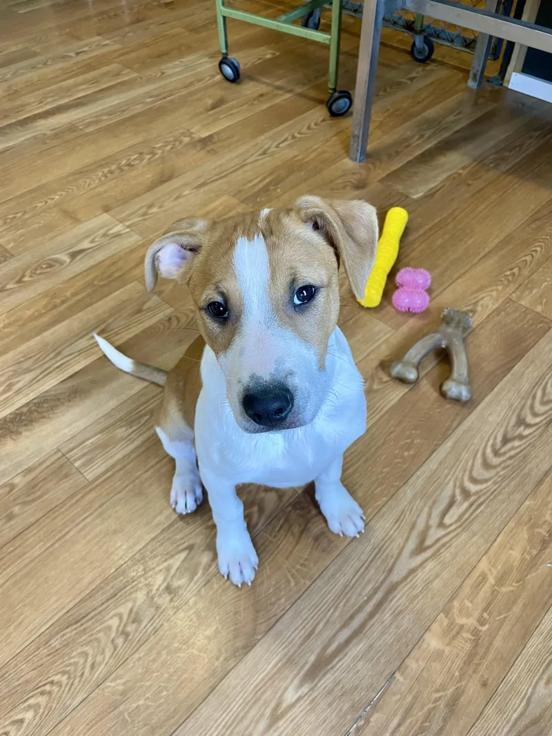Maggie